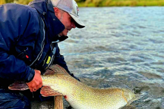 Andy-Cheetham-Pike-Fly-Fishing