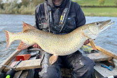Pike-Fly-Fishing-guide-2