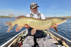 pike-fly-fishing-guide-1